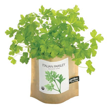Load image into Gallery viewer, Garden in a Bag - Italian Parsley
