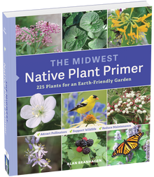 Midwest Native Plant Primer