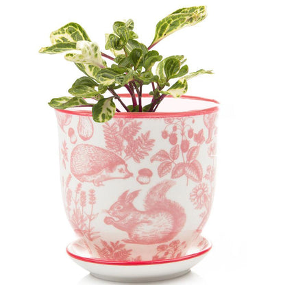 Big Liberte 3 Pot & Saucer
